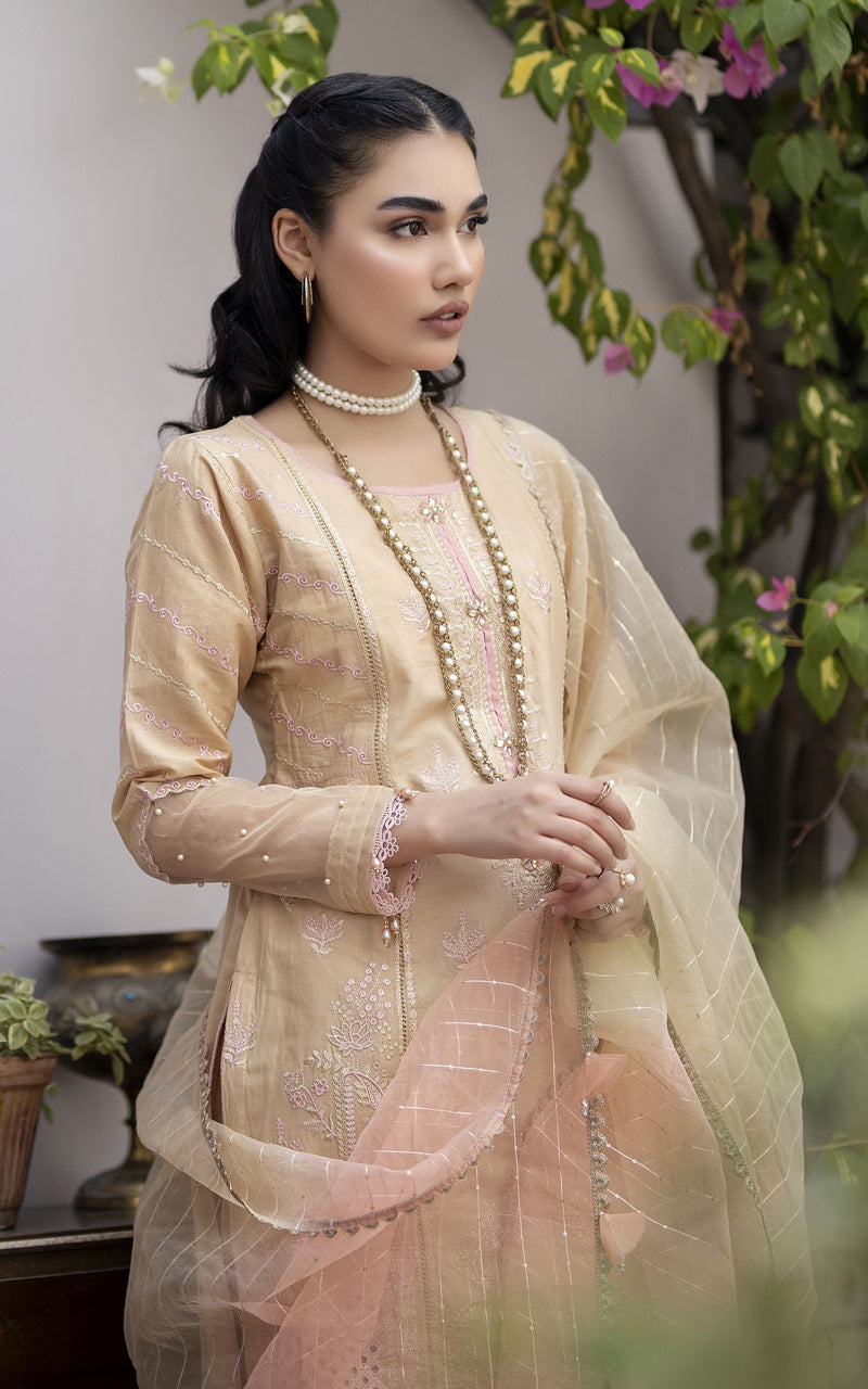 Elyna by Mona Cotton Chikankari EMCC3