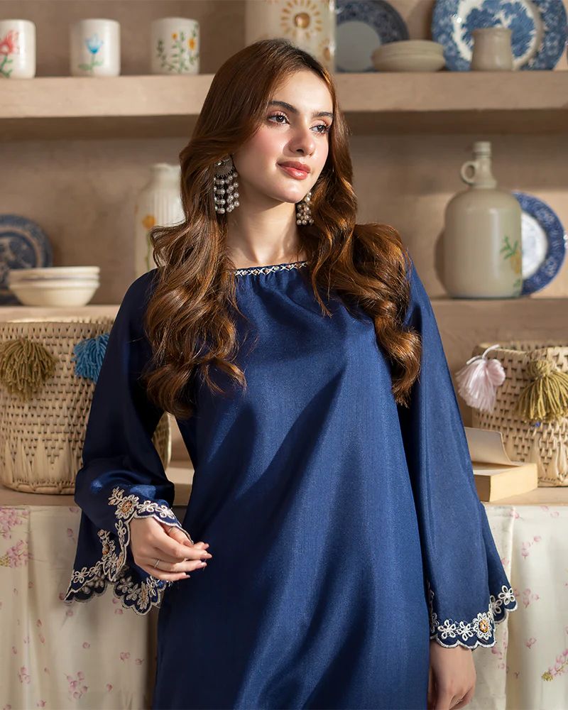 Day to Night by Mona – Raw Silk Chikankari 2pc Co-ord Set DNM9