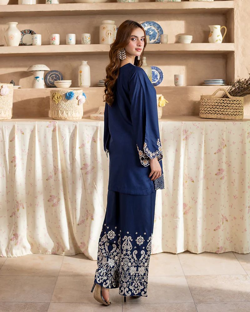 Day to Night by Mona – Raw Silk Chikankari 2pc Co-ord Set DNM9