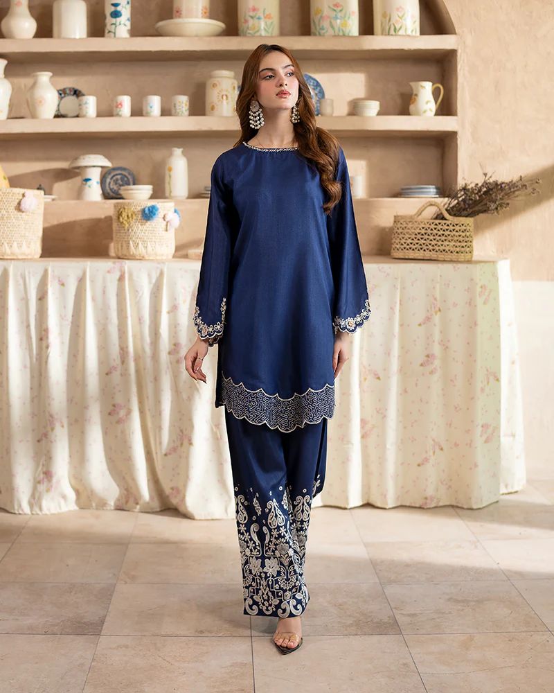 Day to Night by Mona – Raw Silk Chikankari 2pc Co-ord Set DNM9