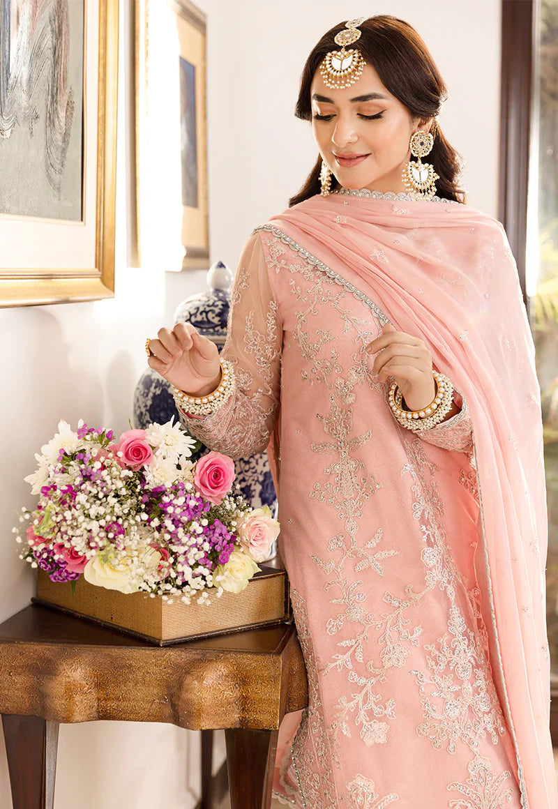 Asim Jofa Maahru Noorie & Meerub 36