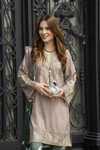 Lush by Aleezay – Smokey Taupe Raw Silk 3pc Dress Lush8