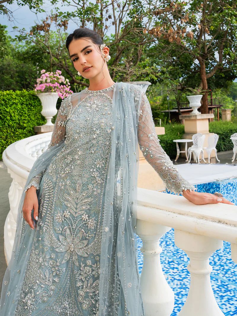 Mona 4pc Handworked Organza Suit with Viscose Trousers – Meher5