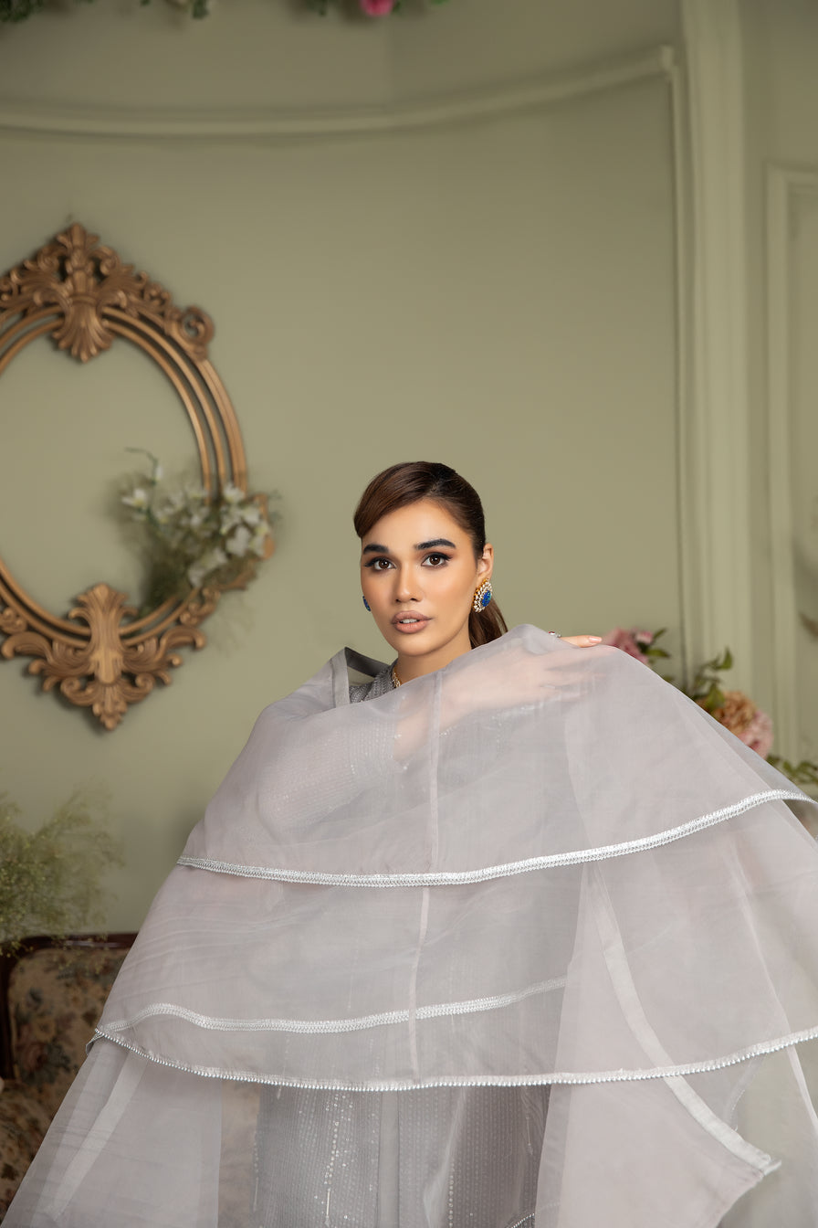 Chiffon Embroidered Gown Dress by Ain 23