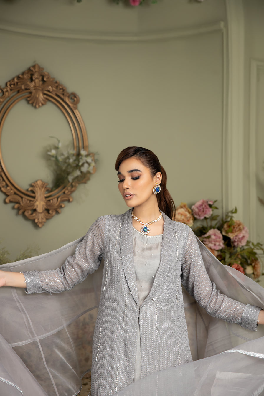 Chiffon Embroidered Gown Dress by Ain 23