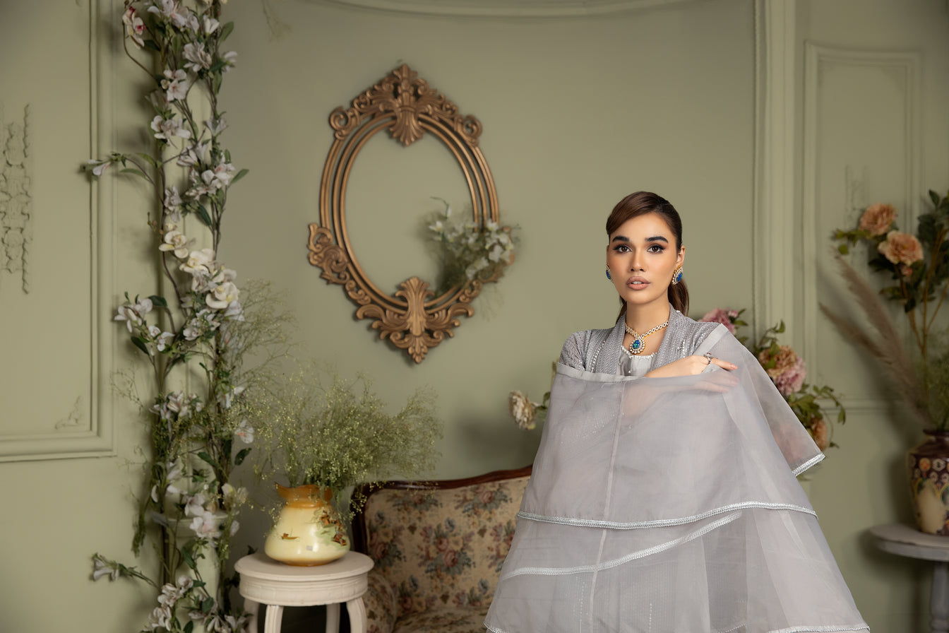 Chiffon Embroidered Gown Dress by Ain 23