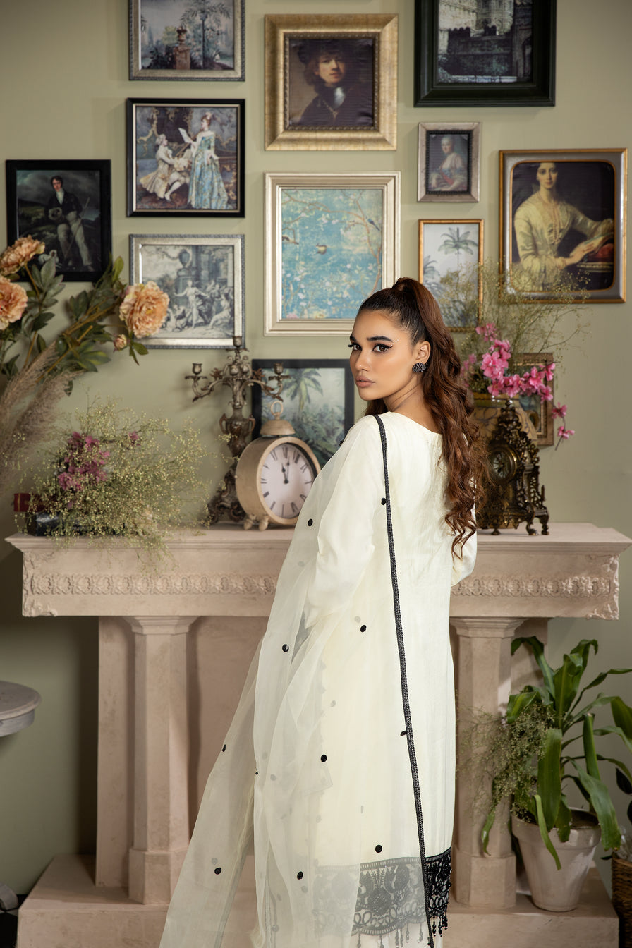 3pc Rawsilk Handwork Dress by Ain 26