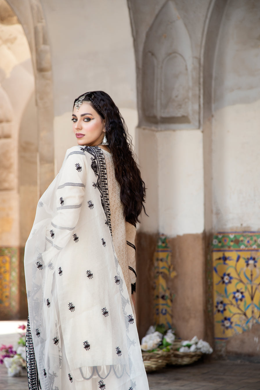 Sakeena Hasan Cotton Jacquard Women Dress 03