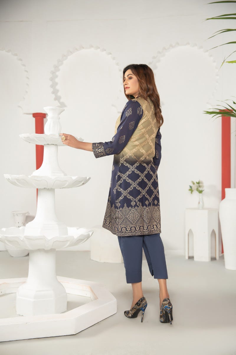 Winter New Ready to Wear Dress by Aleezay 01