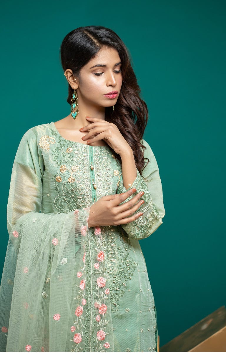 Semi Formal Organza Embroidered Dress by Simrans 03