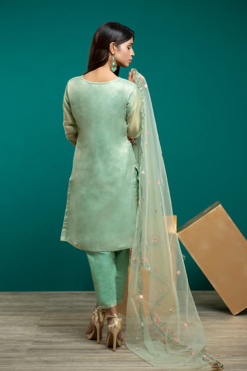 Semi Formal Organza Embroidered Dress by Simrans 03