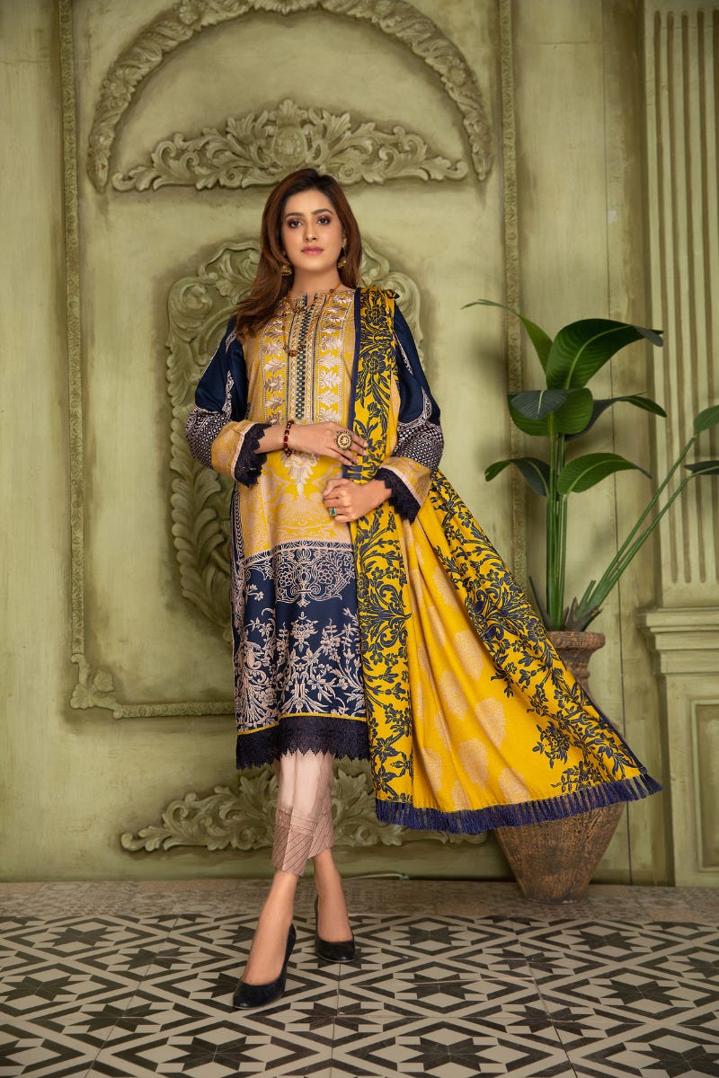 Winter Ready to Wear 3 Pcs Embroidered Dress by Aleezay 02