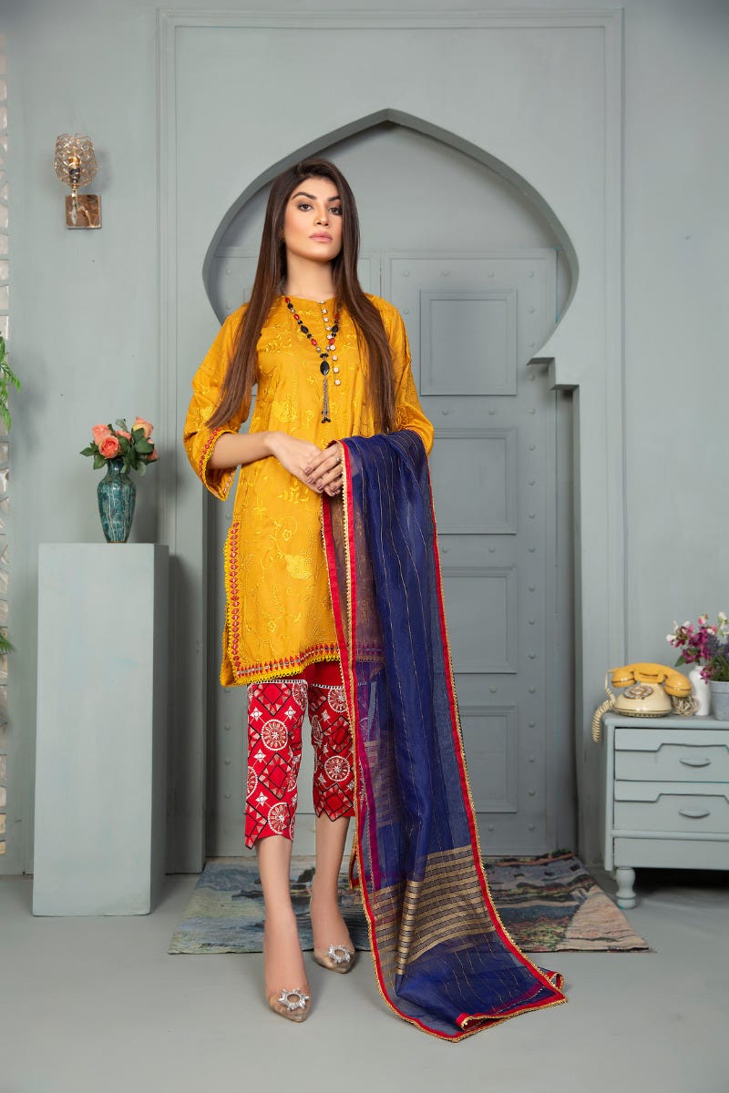 Winter Ready to Wear Embroidered Collection by Aleezay 01