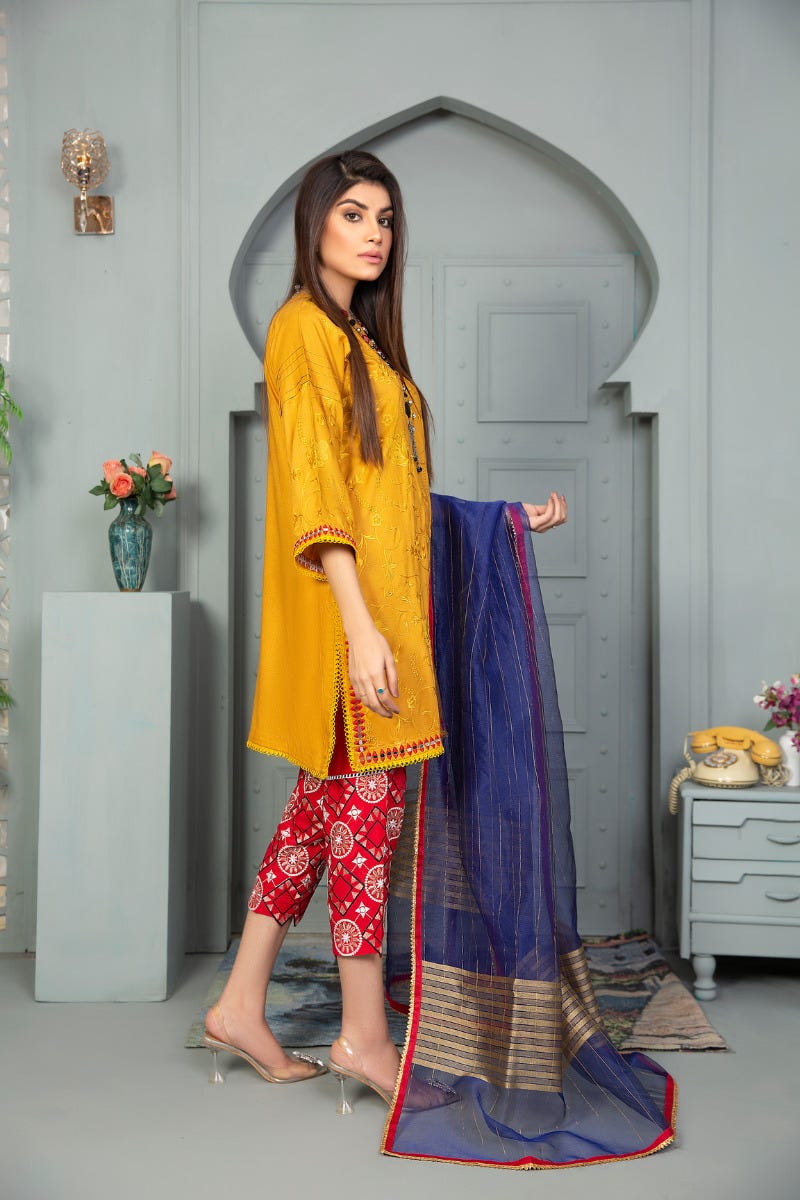 Winter Ready to Wear Embroidered Collection by Aleezay 01