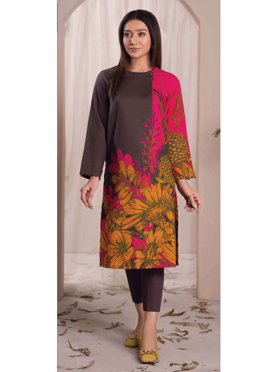 sachin and babi light blue dress 2pc Khaddar Winter Dress U2644-Brown