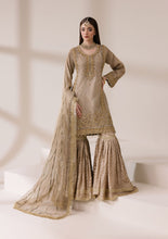 Champagne Masoori Net Embellished Shirt with Jamawar Ghararah & Dupatta | Rasm by Mona – MKR3