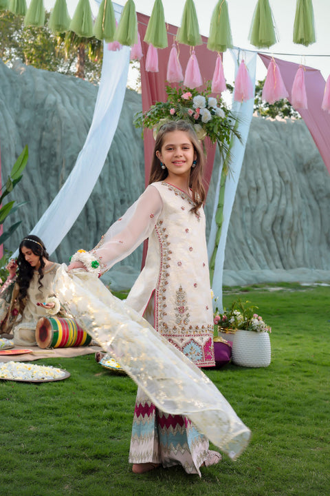 Embroidered Organza Gharara | Twinning Formal Dress by Aroosh TTAH1