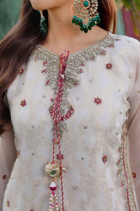 Embroidered Organza Gharara | Twinning Formal Dress by Aroosh TTAH1