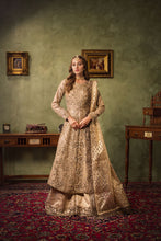 Luxury Formal Zareen Silhouettes by Aroosh ZR4