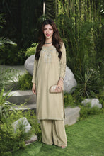 Velvet Story by Ain – Hand Embellished Velvet Dress VSA7