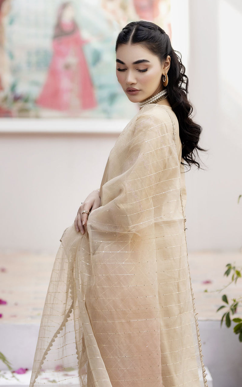 Elyna by Mona Cotton Chikankari EMCC3