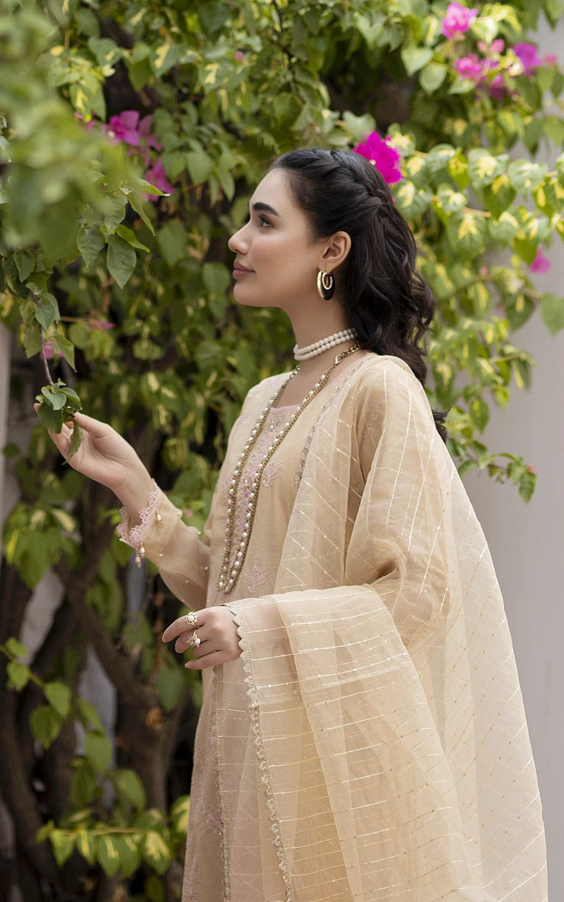 Elyna by Mona Cotton Chikankari EMCC3