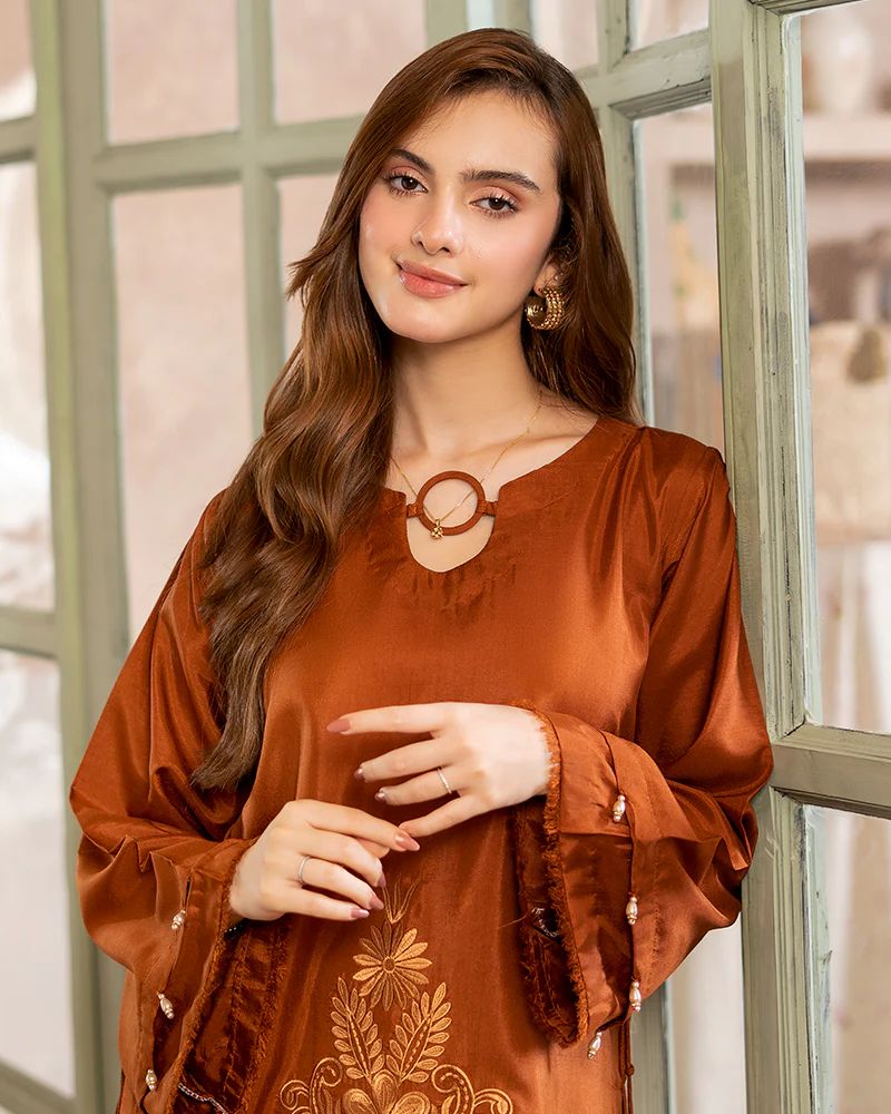 Day to Night by Mona – Raw Silk Chikankari 2pc Co-ord Set DNM8