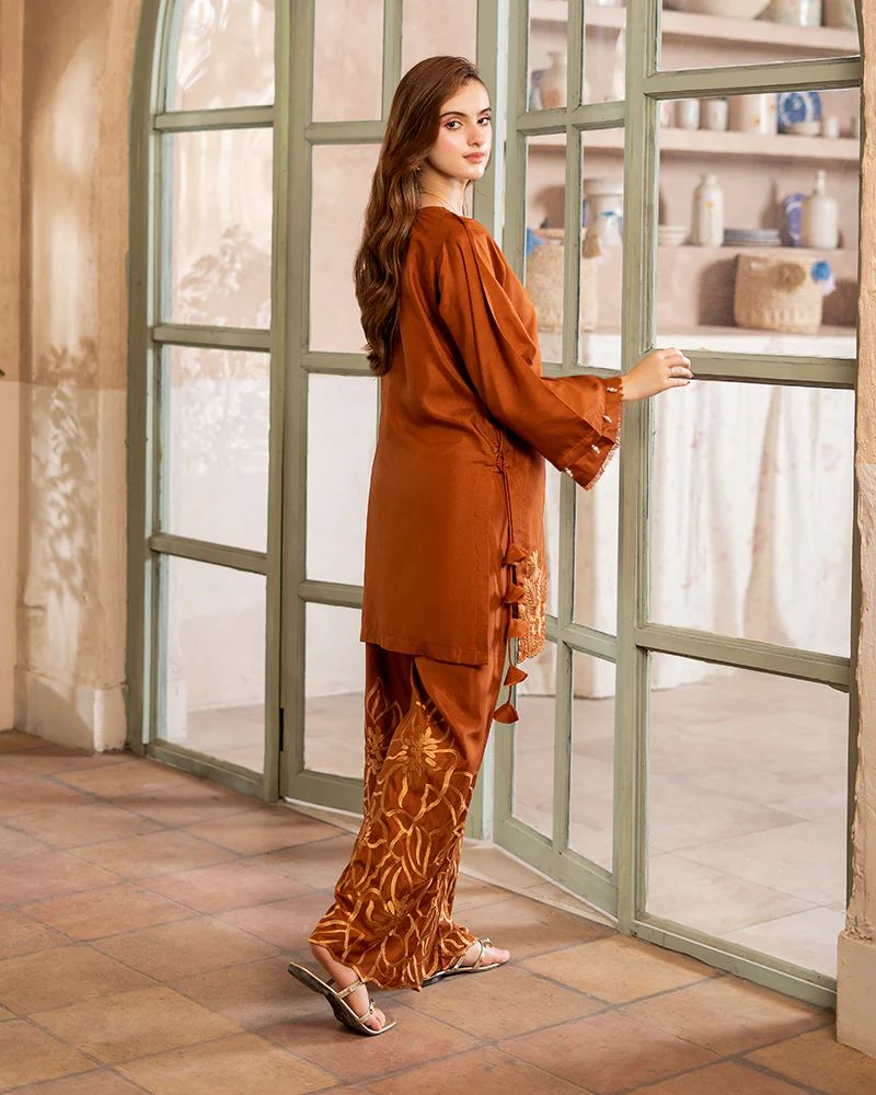 Day to Night by Mona – Raw Silk Chikankari 2pc Co-ord Set DNM8