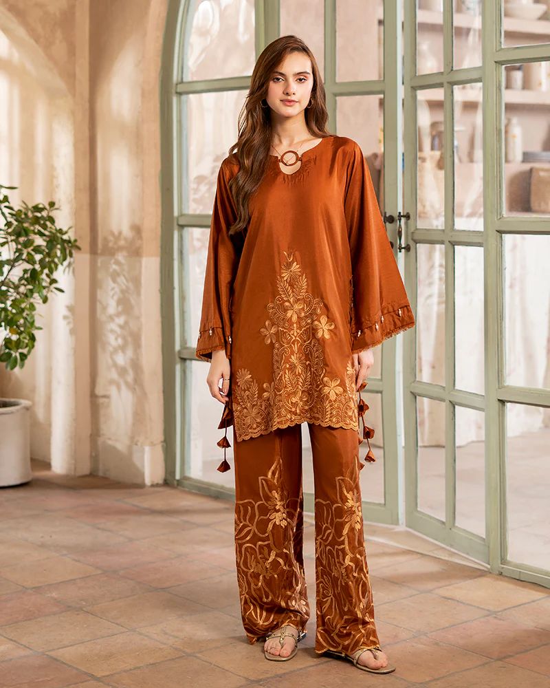 Day to Night by Mona – Raw Silk Chikankari 2pc Co-ord Set DNM8