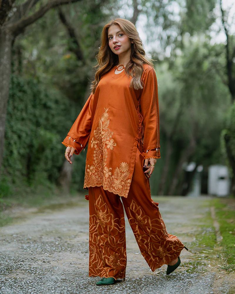 Day to Night by Mona – Raw Silk Chikankari 2pc Co-ord Set DNM8