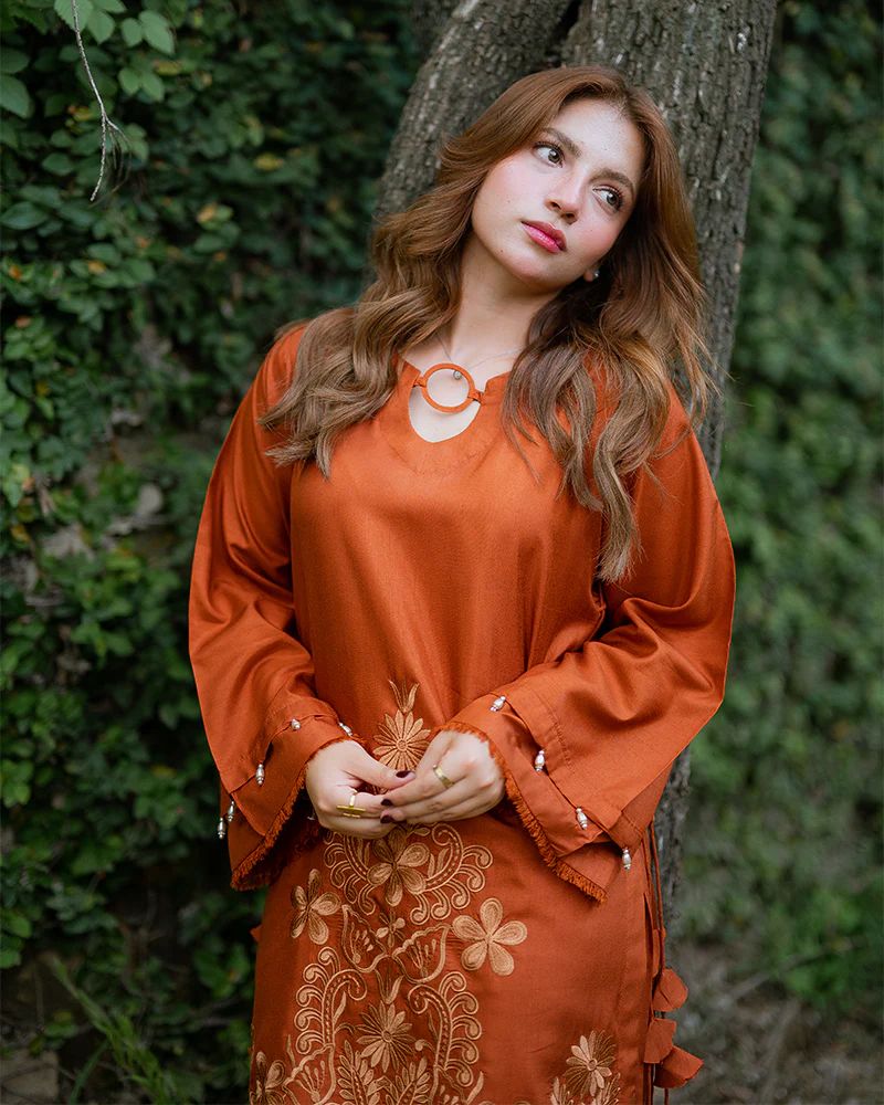 Day to Night by Mona – Raw Silk Chikankari 2pc Co-ord Set DNM8