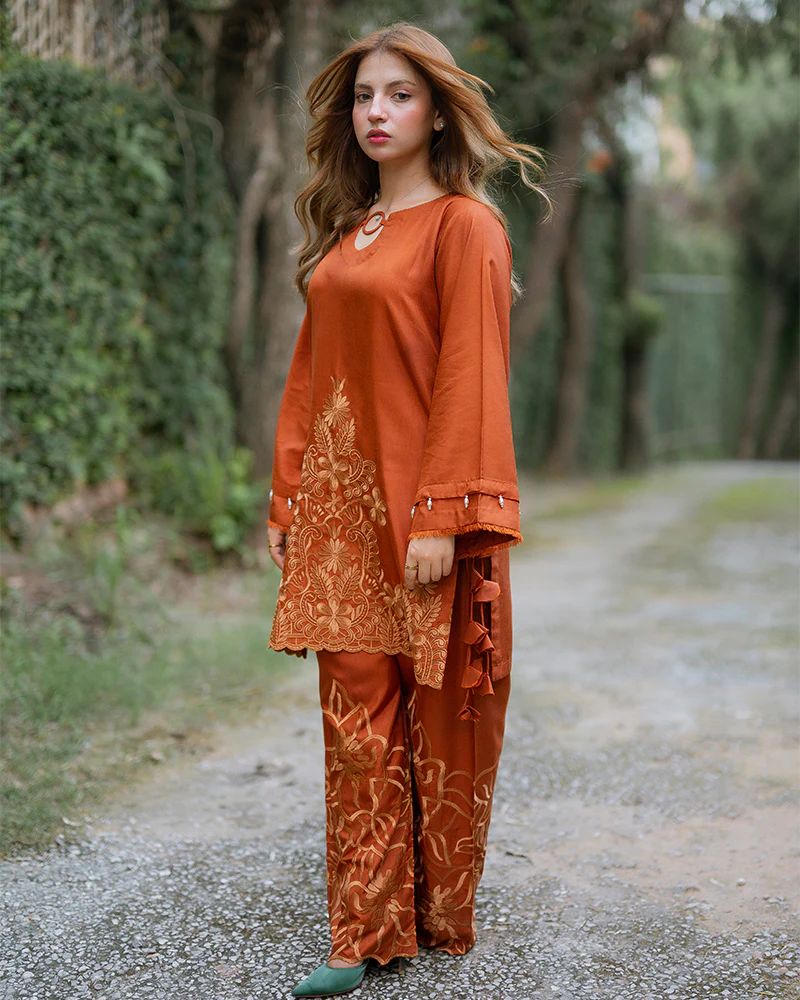 Day to Night by Mona – Raw Silk Chikankari 2pc Co-ord Set DNM8