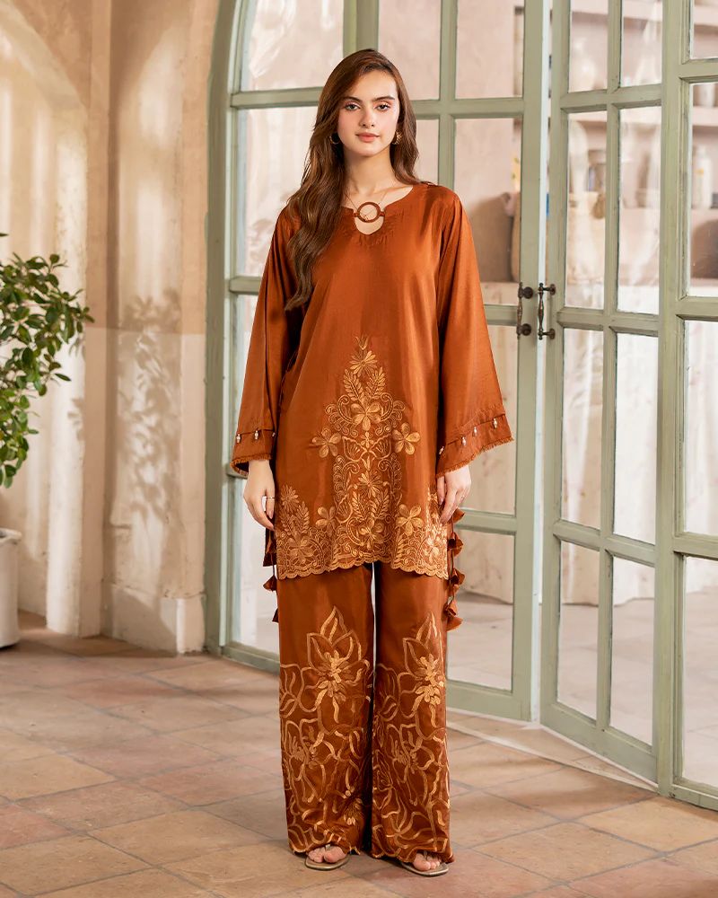 Day to Night by Mona – Raw Silk Chikankari 2pc Co-ord Set DNM8