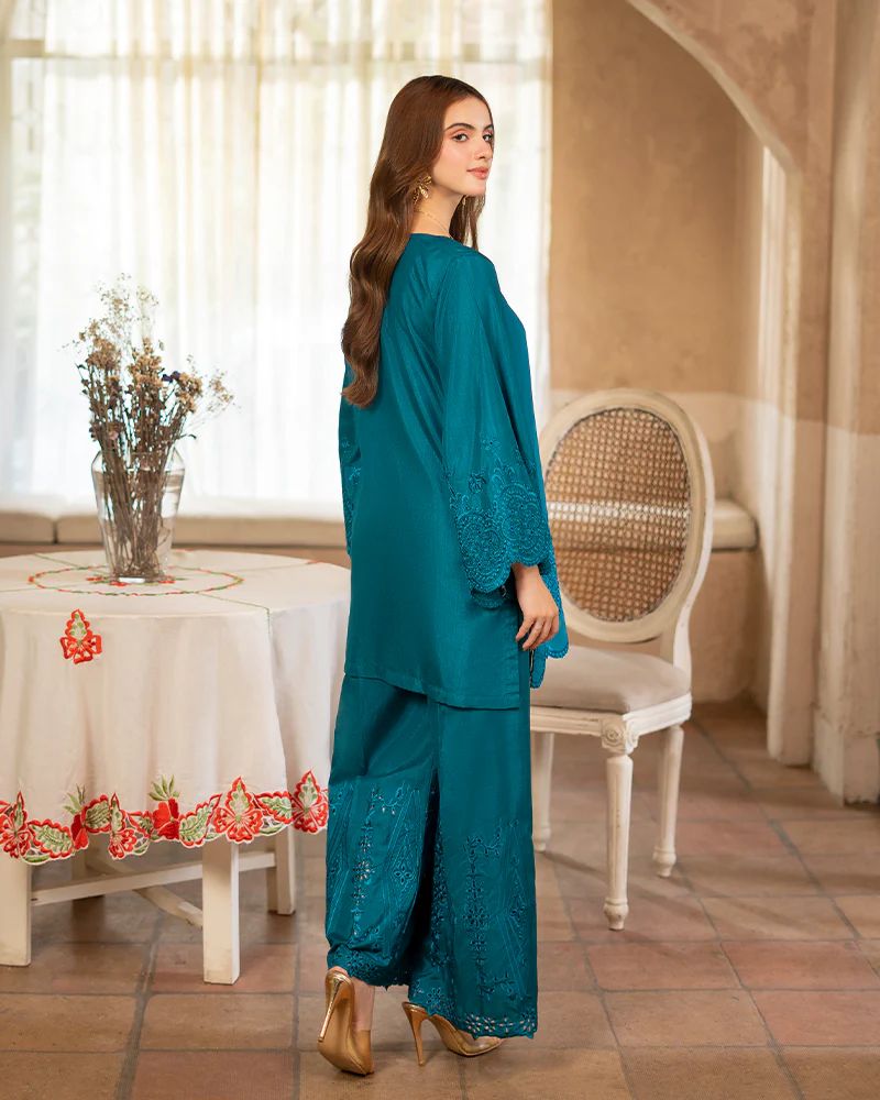 Day to Night by Mona – Raw Silk Chikankari 2pc Co-ord Set DNM6