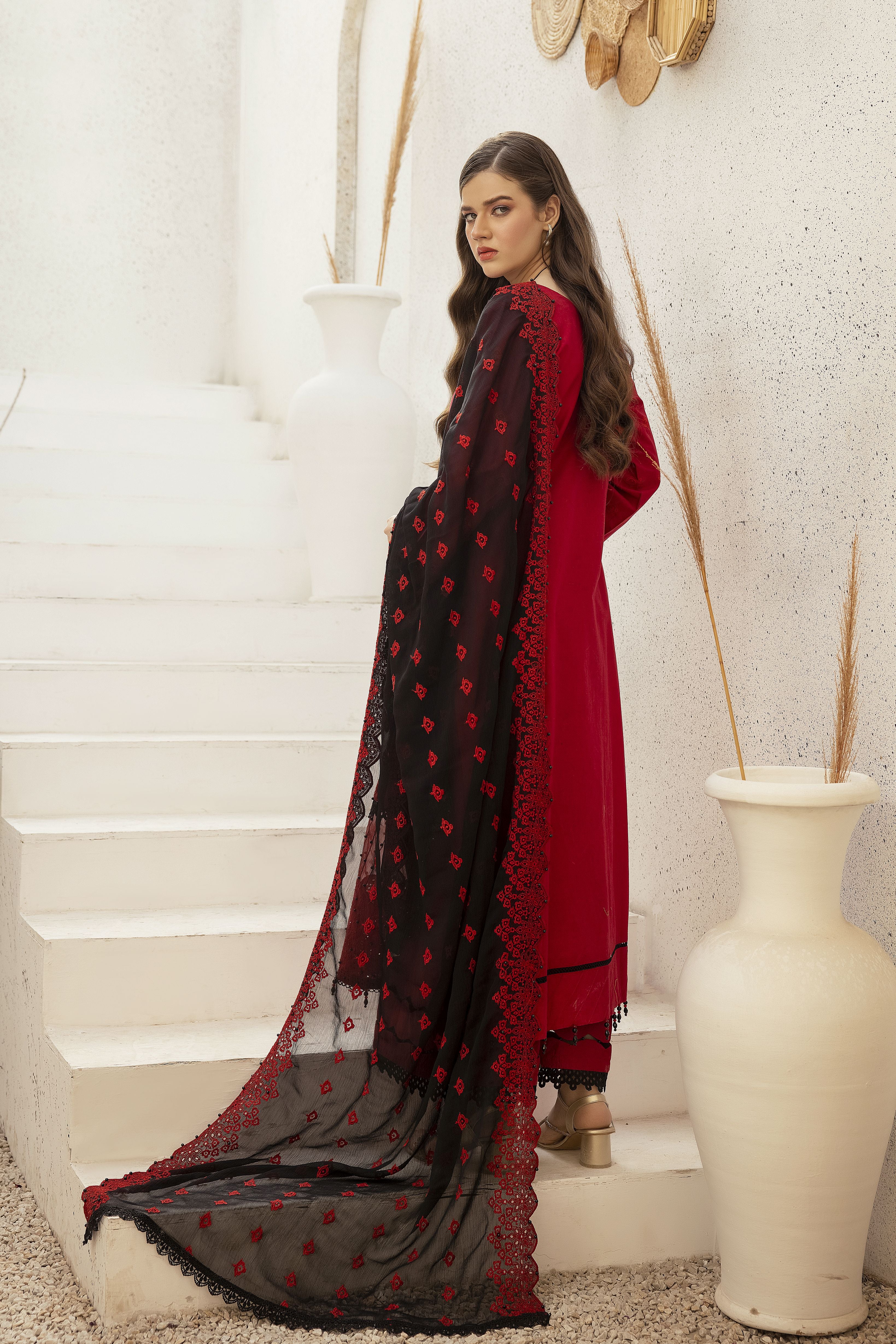 Chikankari Charm by Mona CC6