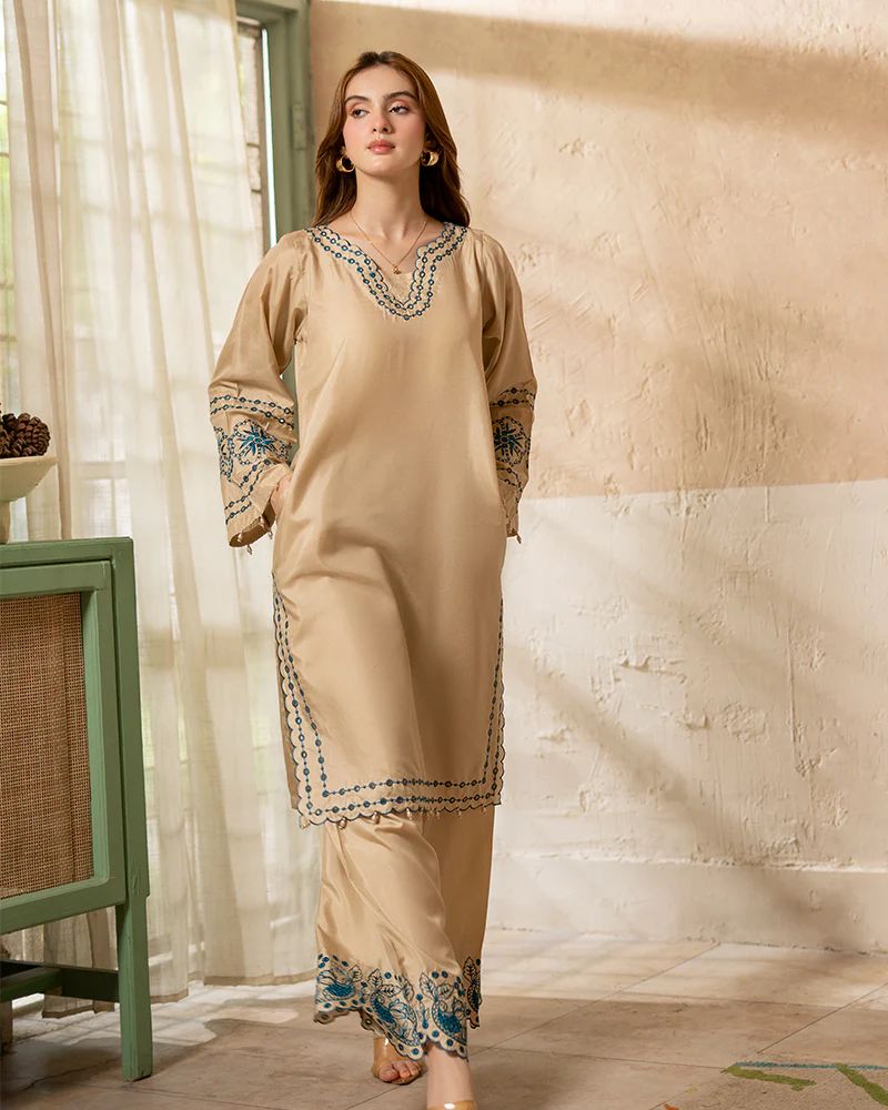 Day to Night by Mona – Raw Silk Chikankari 2pc Co-ord Set DNM2