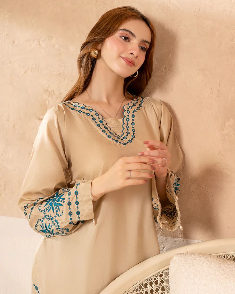 Day to Night by Mona – Raw Silk Chikankari 2pc Co-ord Set DNM2