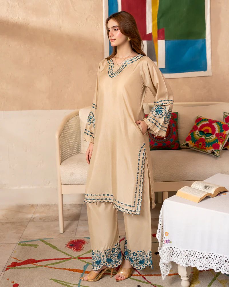 Day to Night by Mona – Raw Silk Chikankari 2pc Co-ord Set DNM2