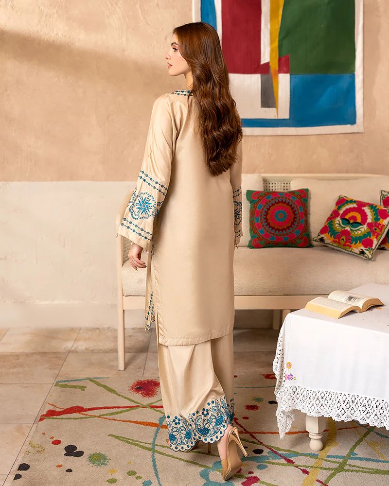 Day to Night by Mona – Raw Silk Chikankari 2pc Co-ord Set DNM2