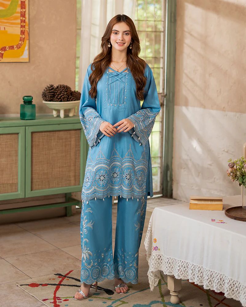 Day to Night by Mona – Raw Silk Chikankari 2pc Co-ord Set DNM7