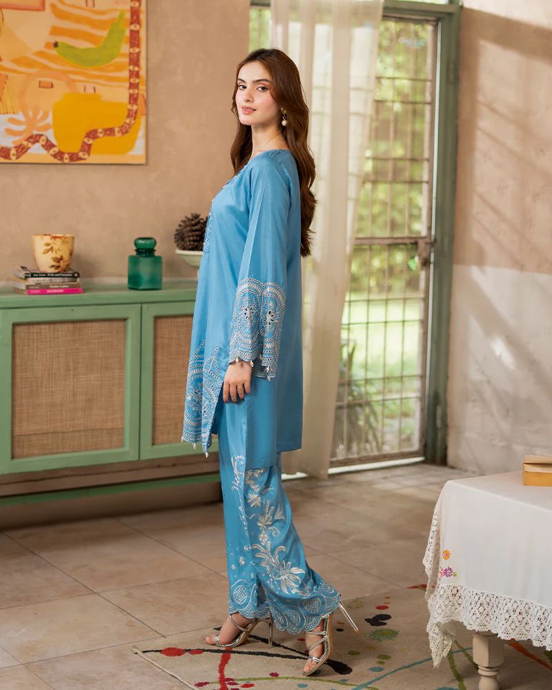 Day to Night by Mona – Raw Silk Chikankari 2pc Co-ord Set DNM7