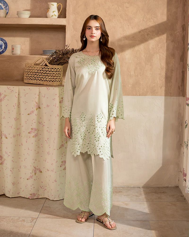Day to Night by Mona – Raw Silk Chikankari 2pc Co-ord Set DNM1