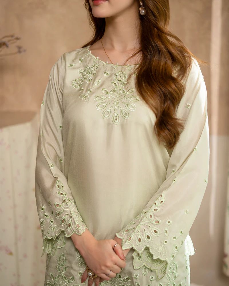 Day to Night by Mona – Raw Silk Chikankari 2pc Co-ord Set DNM1