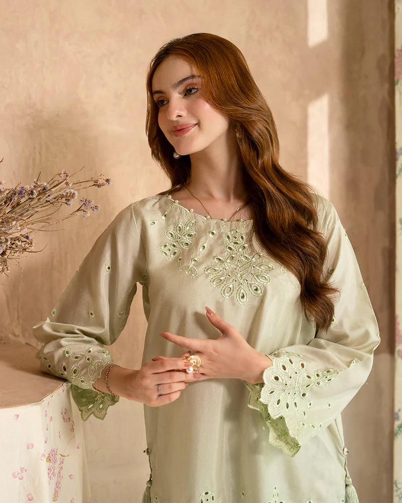 Day to Night by Mona – Raw Silk Chikankari 2pc Co-ord Set DNM1