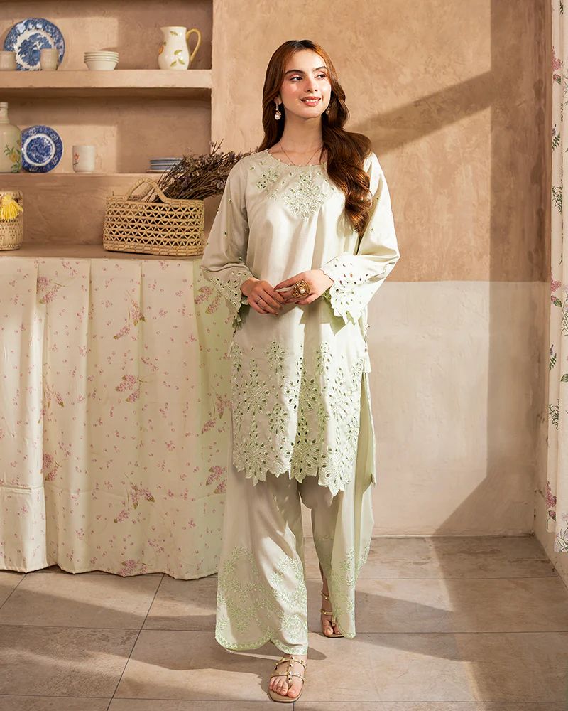 Day to Night by Mona – Raw Silk Chikankari 2pc Co-ord Set DNM1