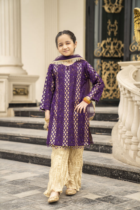 3pc Festive Girls Dress by ARWAH AG21