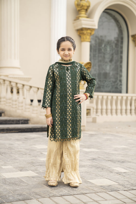 3pc Festive Girls Dress by ARWAH AG22