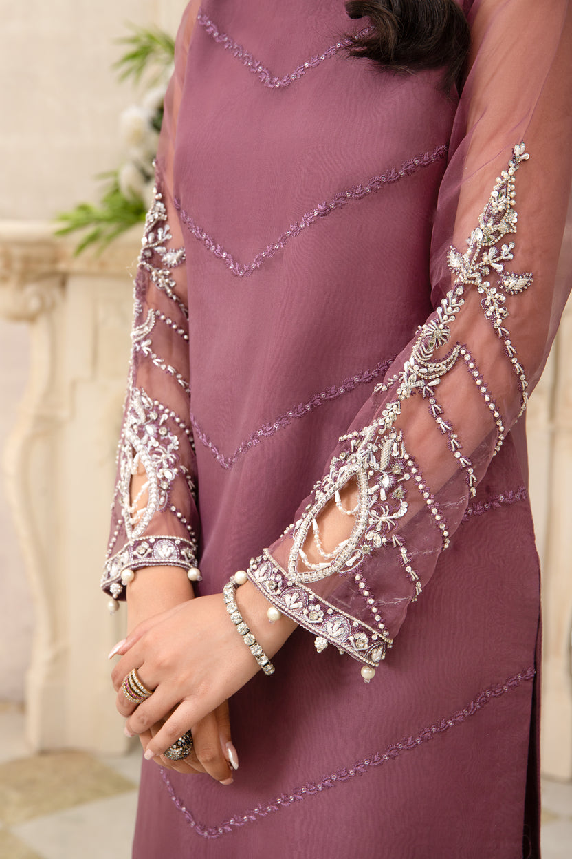 Luxury Organza Dress by AIN 40