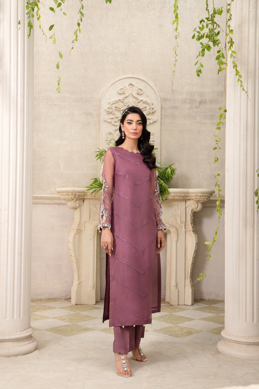 Luxury Organza Dress by AIN 40