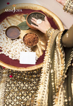 Asim Jofa EMBROIDERED CHIFFON 3 PCS AJCE-08